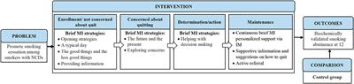 A general health promotion approach to helping smokers with non-communicable diseases quit smoking: A pilot randomized controlled trial